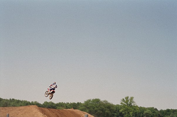 Janine Gordon - from "Stunting"