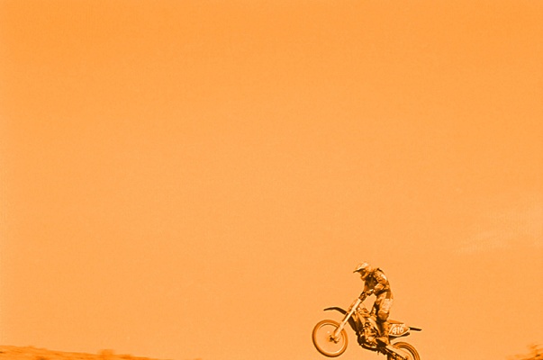 Janine Gordon - from "Stunting"